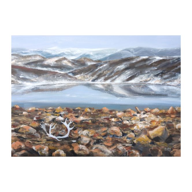 Huvudbild Poster Renhorn 50x70 cm