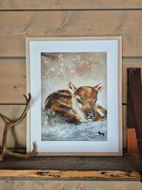 Huvudbild Poster Liggande Kalv 30x40cm