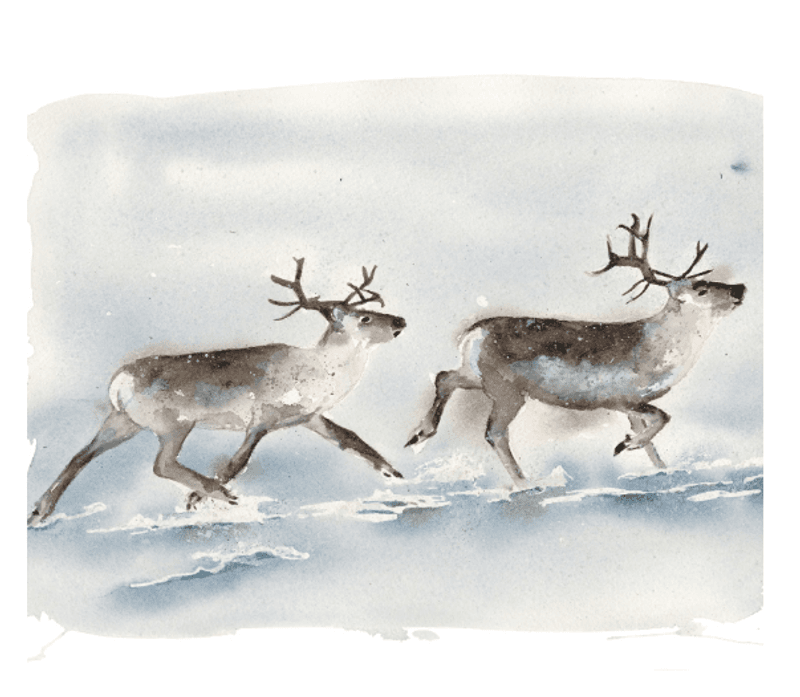 Rensdyr Lunch 33x33cm